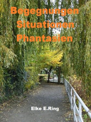 cover image of Begegnungen Situationen Phantasien